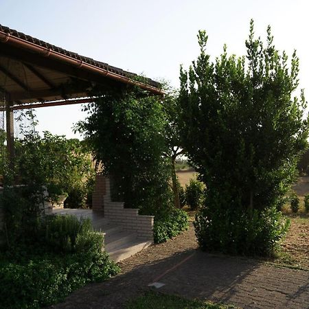 Accogliente Villa Con Piscina Калтаджироне Екстериор снимка