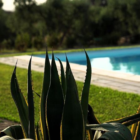 Accogliente Villa Con Piscina Калтаджироне Екстериор снимка