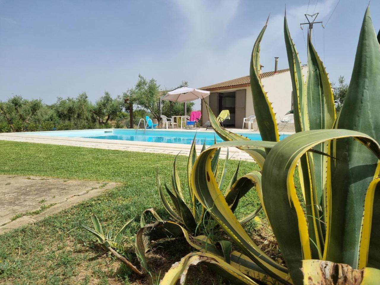 Accogliente Villa Con Piscina Калтаджироне Екстериор снимка