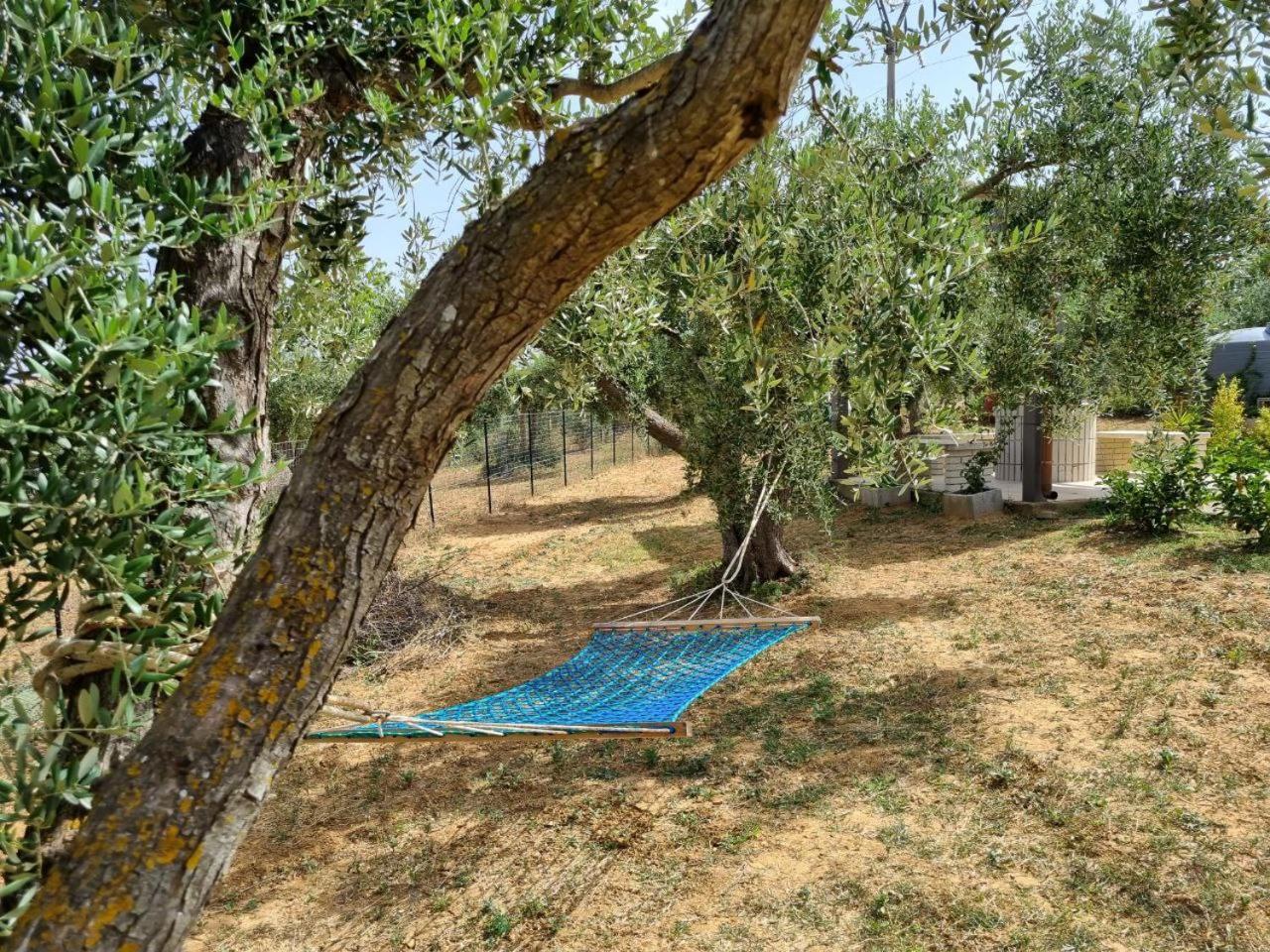 Accogliente Villa Con Piscina Калтаджироне Екстериор снимка