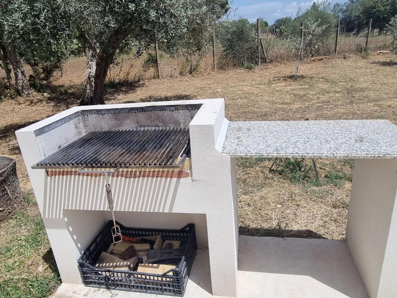 Accogliente Villa Con Piscina Калтаджироне Екстериор снимка